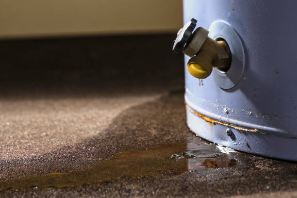 Best Residential water damage restoration  in Franklin Park, IL