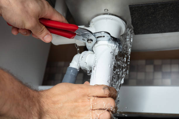 Best Basement water damage restoration  in Franklin Park, IL