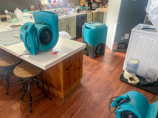 Best Commercial water damage restoration  in Franklin Park, IL