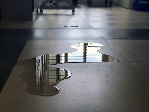 Best 24-hour water damage restoration  in Franklin Park, IL