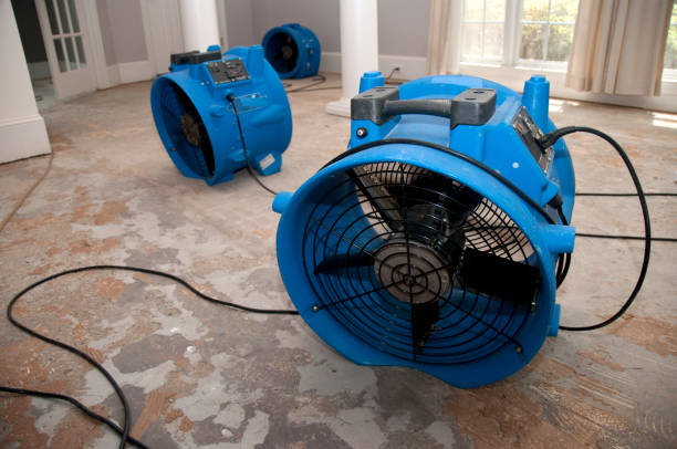 Best Water damage restoration near me  in Franklin Park, IL
