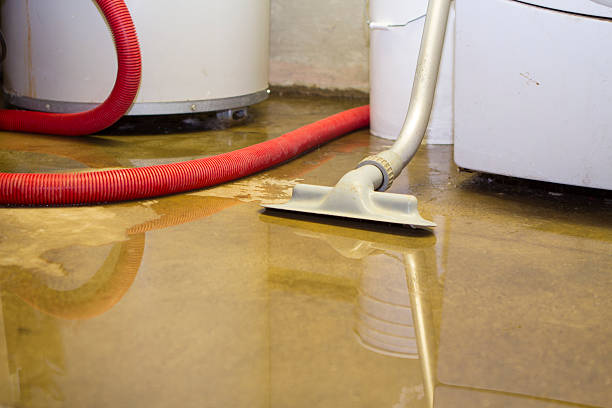 Best Emergency water damage restoration  in Franklin Park, IL
