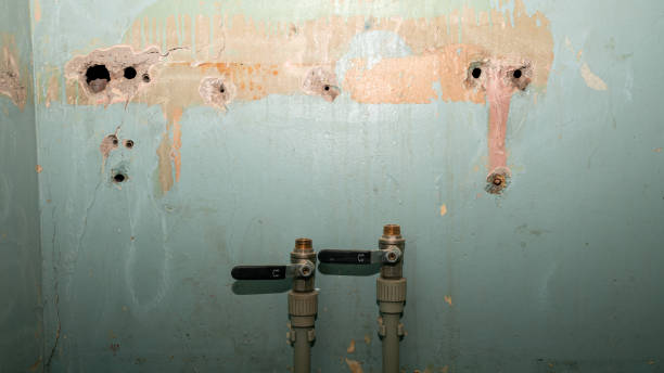 Best 24-hour water damage restoration  in Franklin Park, IL