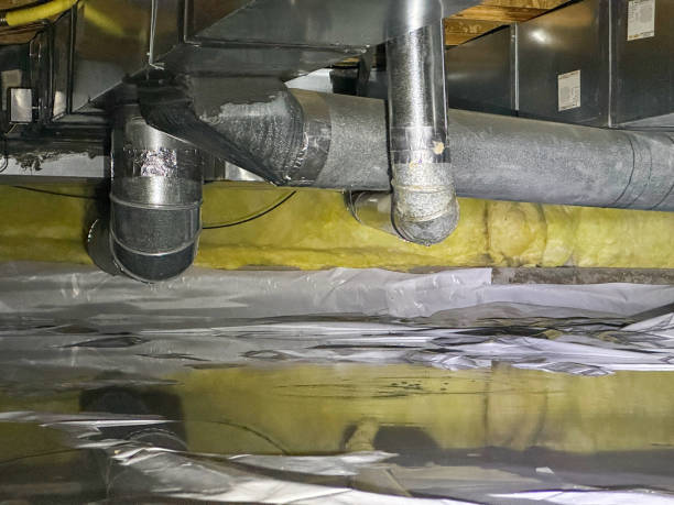 Best Flood restoration services  in Franklin Park, IL
