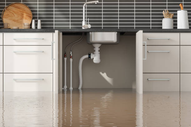 Reliable Franklin Park, IL Water damage restoration Solutions