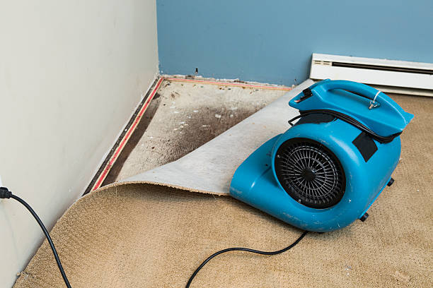 Trusted Franklin Park, IL Water damage restoration Experts